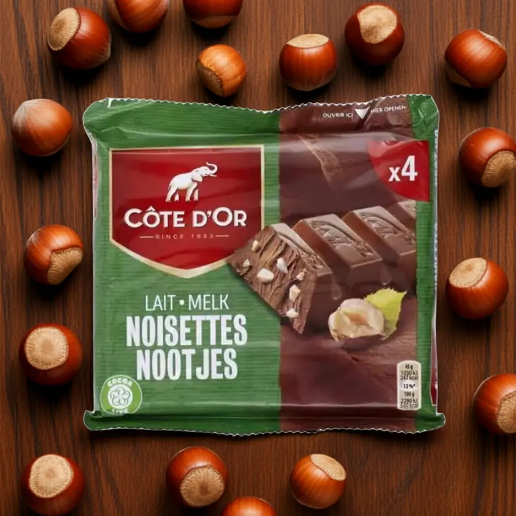 COTE-D'OR-lait-noisettes-4-x-45g-edited_1.webp