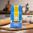 BRUGGEMAN levure instant 500g