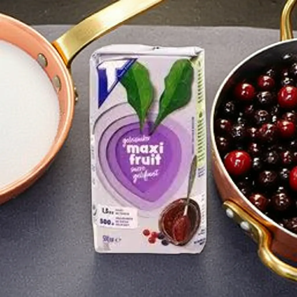 TIENSE SUIKER Geleisuiker Maxi-fruit 500g