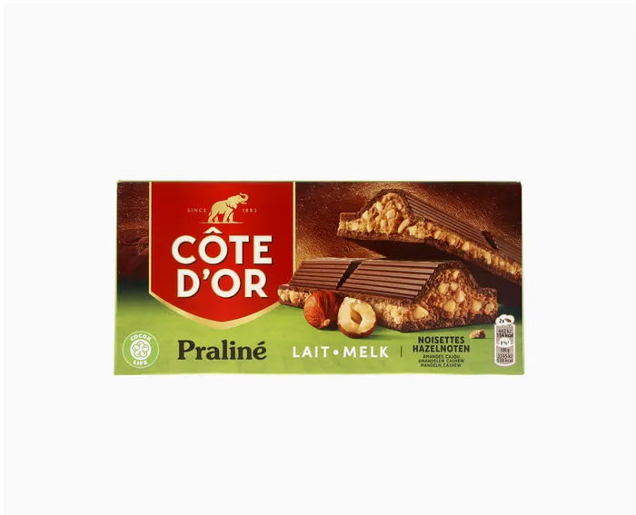 COTE D'OR Tablette Praliné Double Noisette 200g