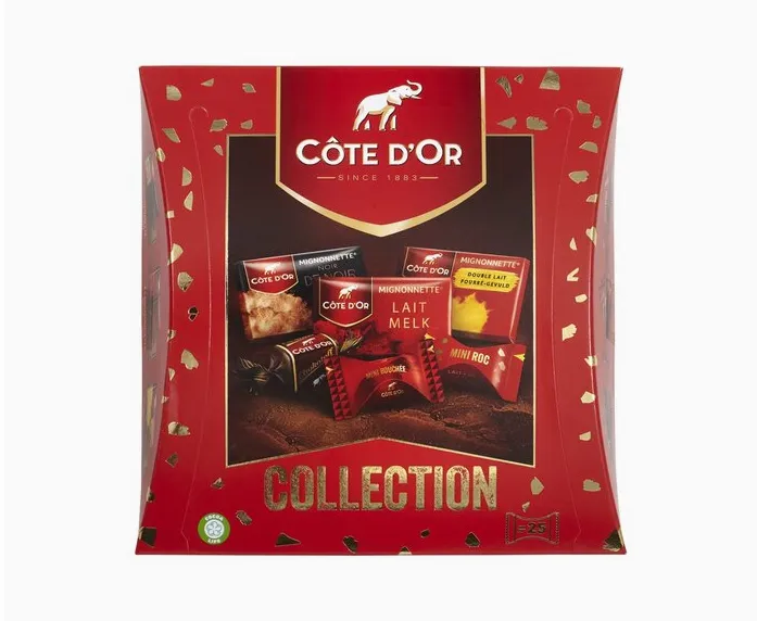 COTE D'OR Collection Pralines 242g