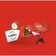 GALLER dark chocolate Praliné 70g